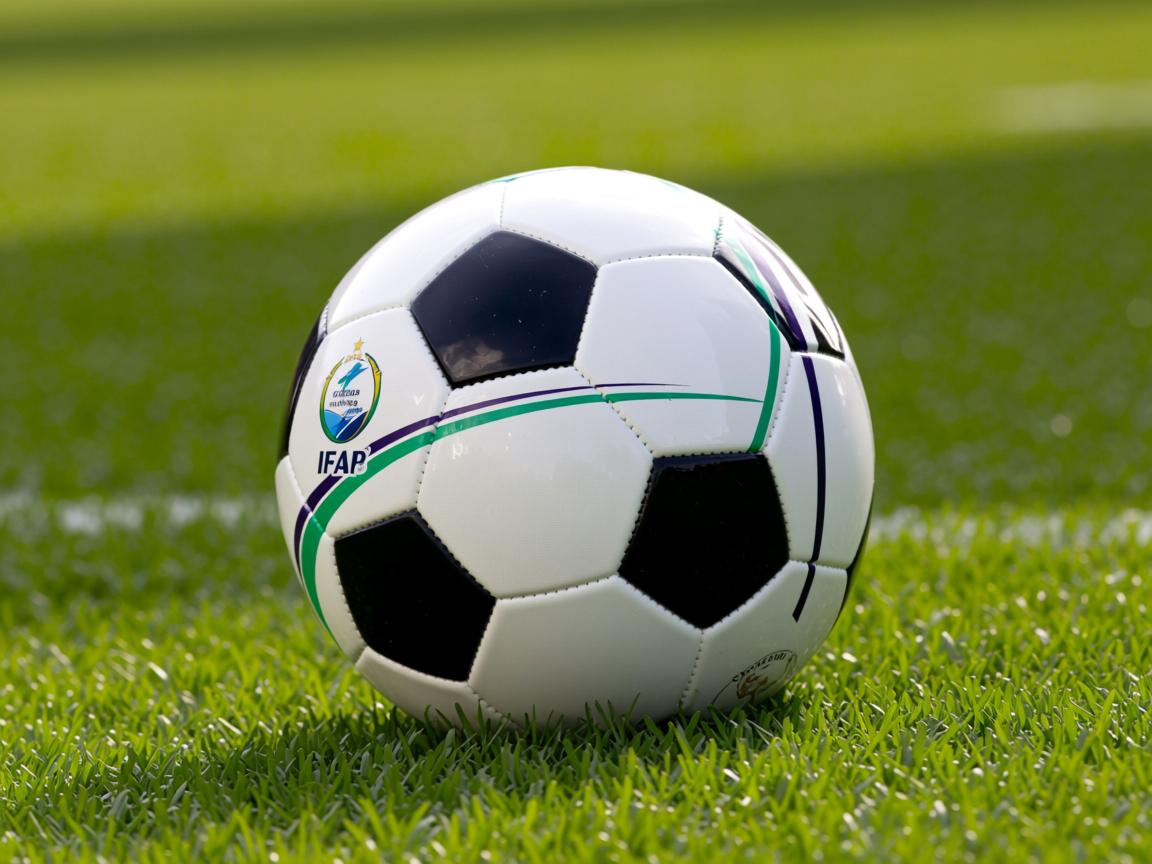 开云体育-中国女篮内线球员发挥出色 成为取胜保障，中国女篮队员美女