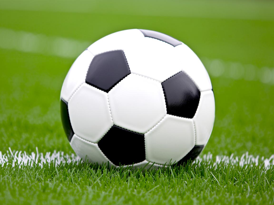 开云体育平台-体育新闻中心主办体育文化数字传播创新成果展，体育数字化改革方案  第1张